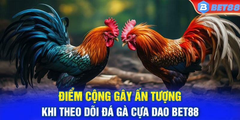 Điểm cộng gây ấn tượng khi theo dõi đá gà cựa dao BET88