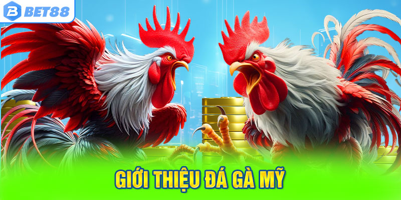 Giới Thiệu Đá Gà Mỹ