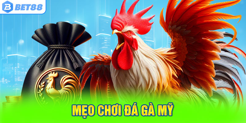 Mẹo Chơi Đá Gà Mỹ